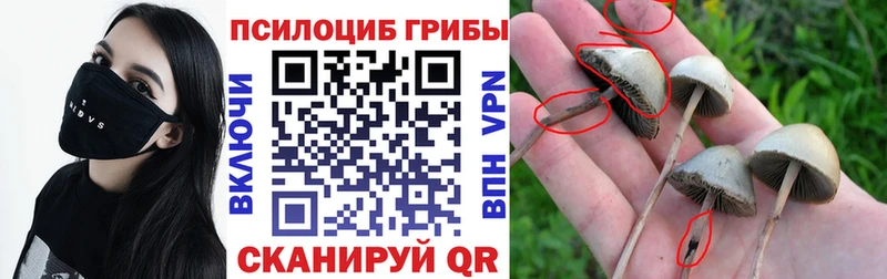 Псилоцибиновые грибы мухоморы  OMG ONION  Новоалтайск 