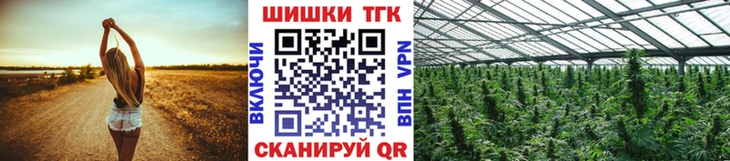 хочу   Новоалтайск  Бошки марихуана сатива 